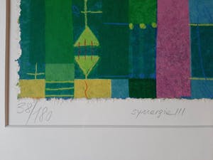 Norbert Cames - Synergy III kopen? Bied vanaf 15!