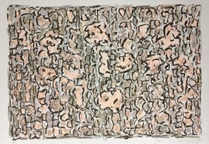 Jan Wolkers - zeefdruk uit 1993 - Winterbeelden. kopen? Bied vanaf 175!