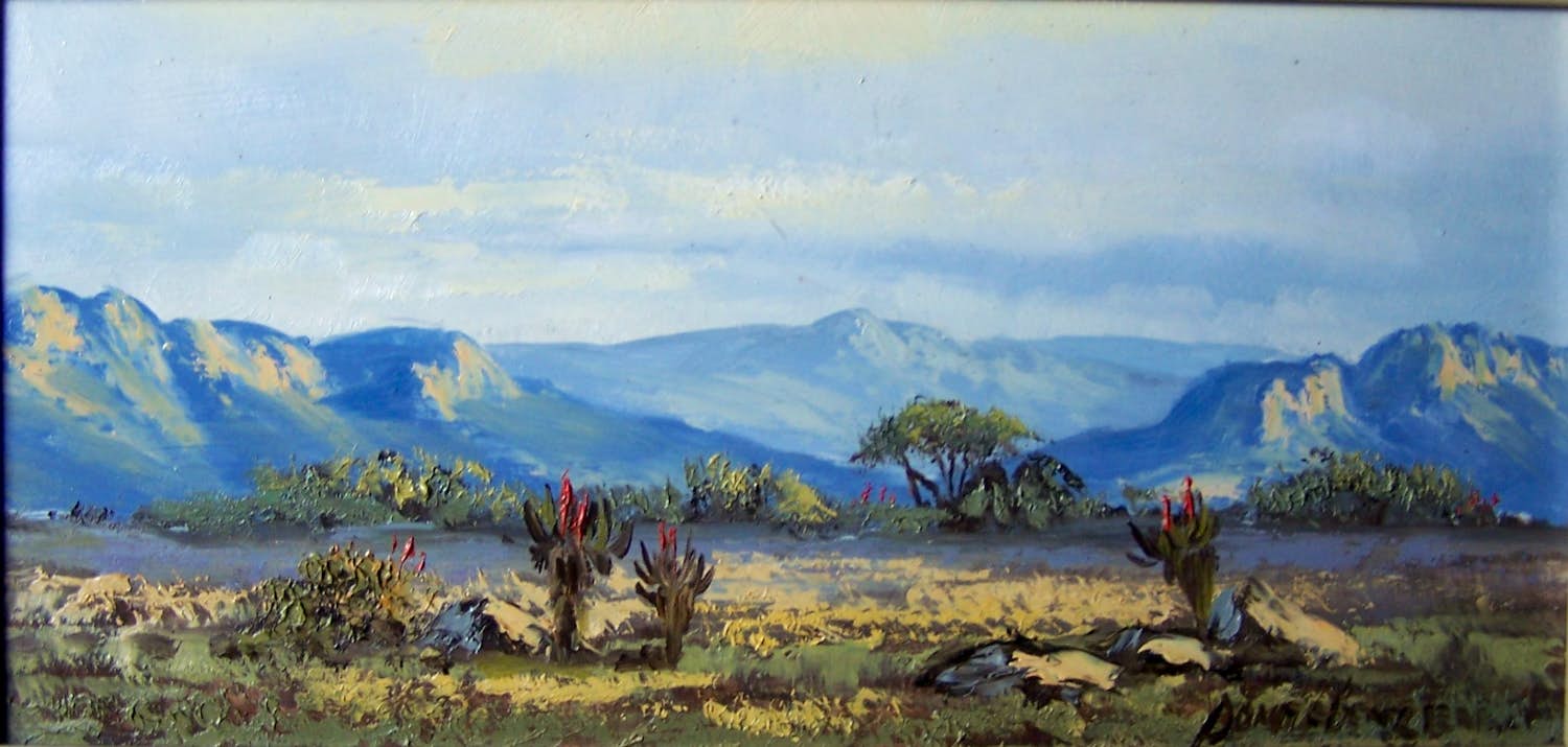 Don Benzien - Zuidafrikaans landschap verkocht voor € 50!
