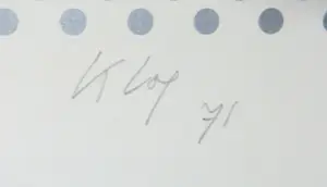 Ton Klop - Zeefdruk, Speciale auto kopen? Bied vanaf 35!