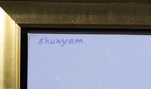 Shunyam - Acryl op doek, Kip in de wei - Ingelijst kopen? Bied vanaf 1!