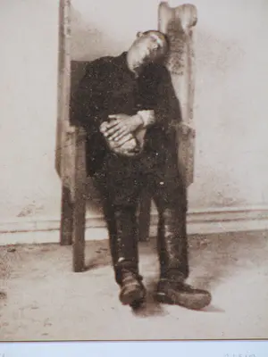 Ossip - Varken en figuur - Digitale print kopen? Bied vanaf 60!