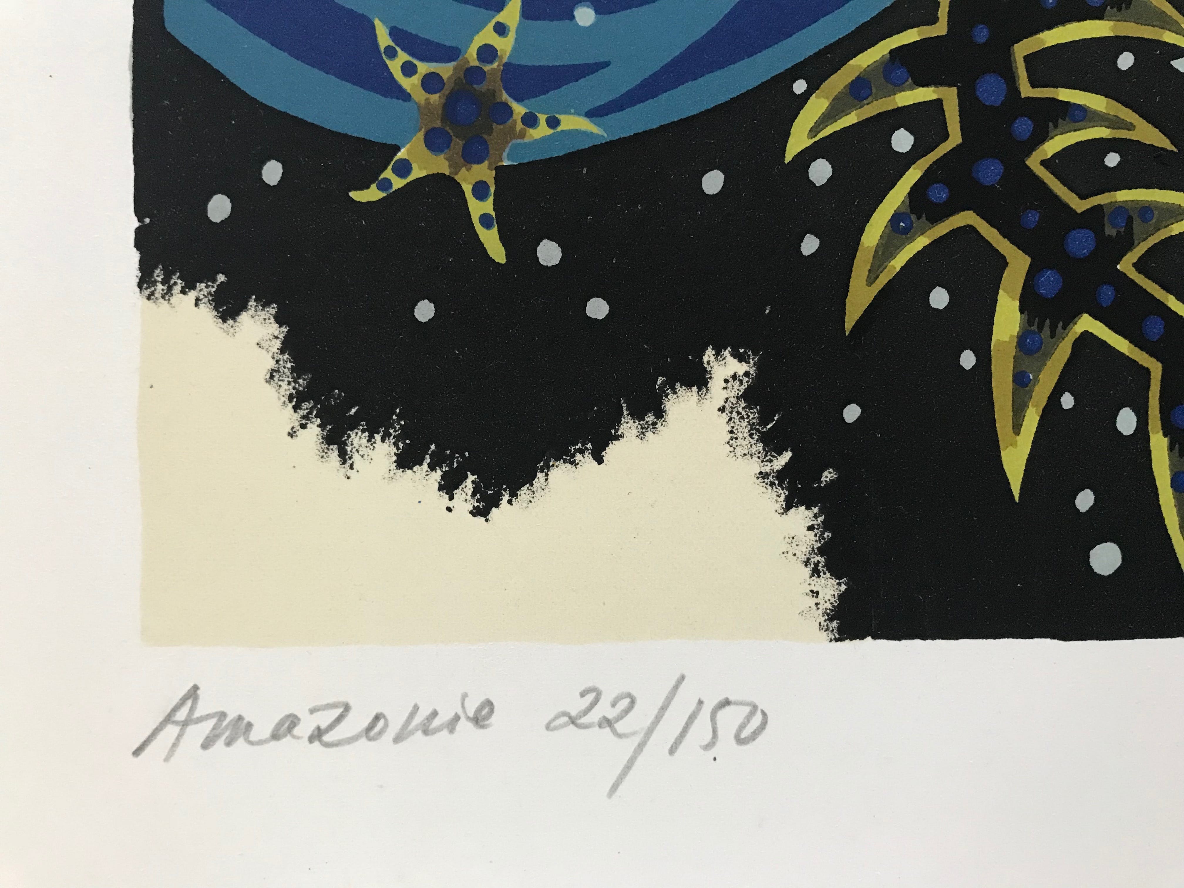 Jean Picart Le Doux - Fraaie zeefdruk - 'Amazonie' - Gesigneerd - 22/150 kopen? Bied vanaf 85!