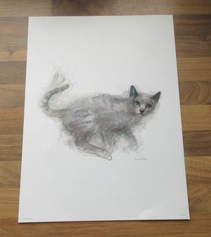 Niet of onleesbaar gesigneerd - Mads Stage - 4 Studies of Cats kopen? Bied vanaf 1!