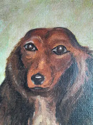 Niet of onleesbaar gesigneerd - Teckel hondje kopen? Bied vanaf 1!