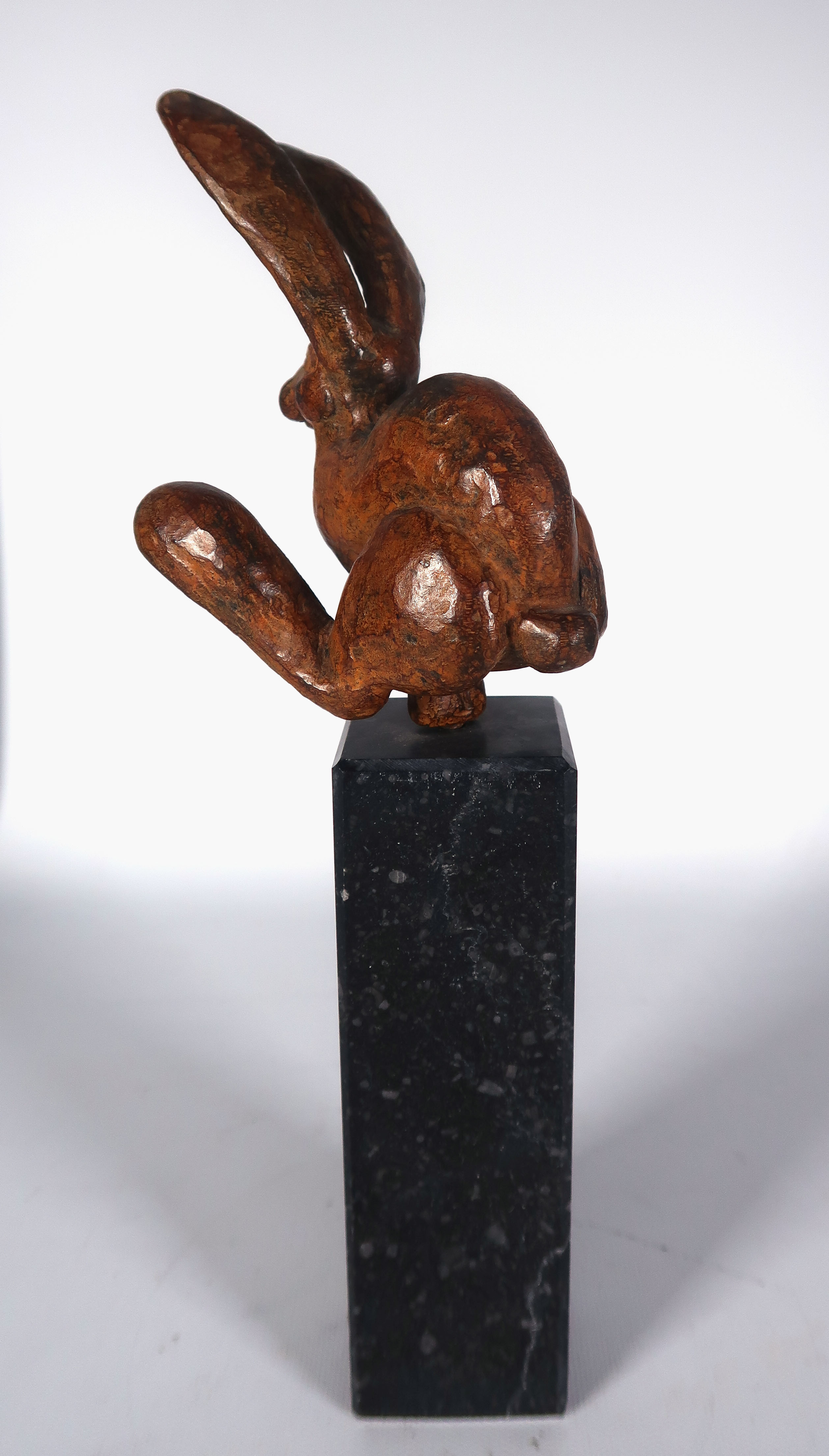 Mohana van den Kroonenberg - Brons en graniet, Haas op sokkel kopen? Bied vanaf 150!