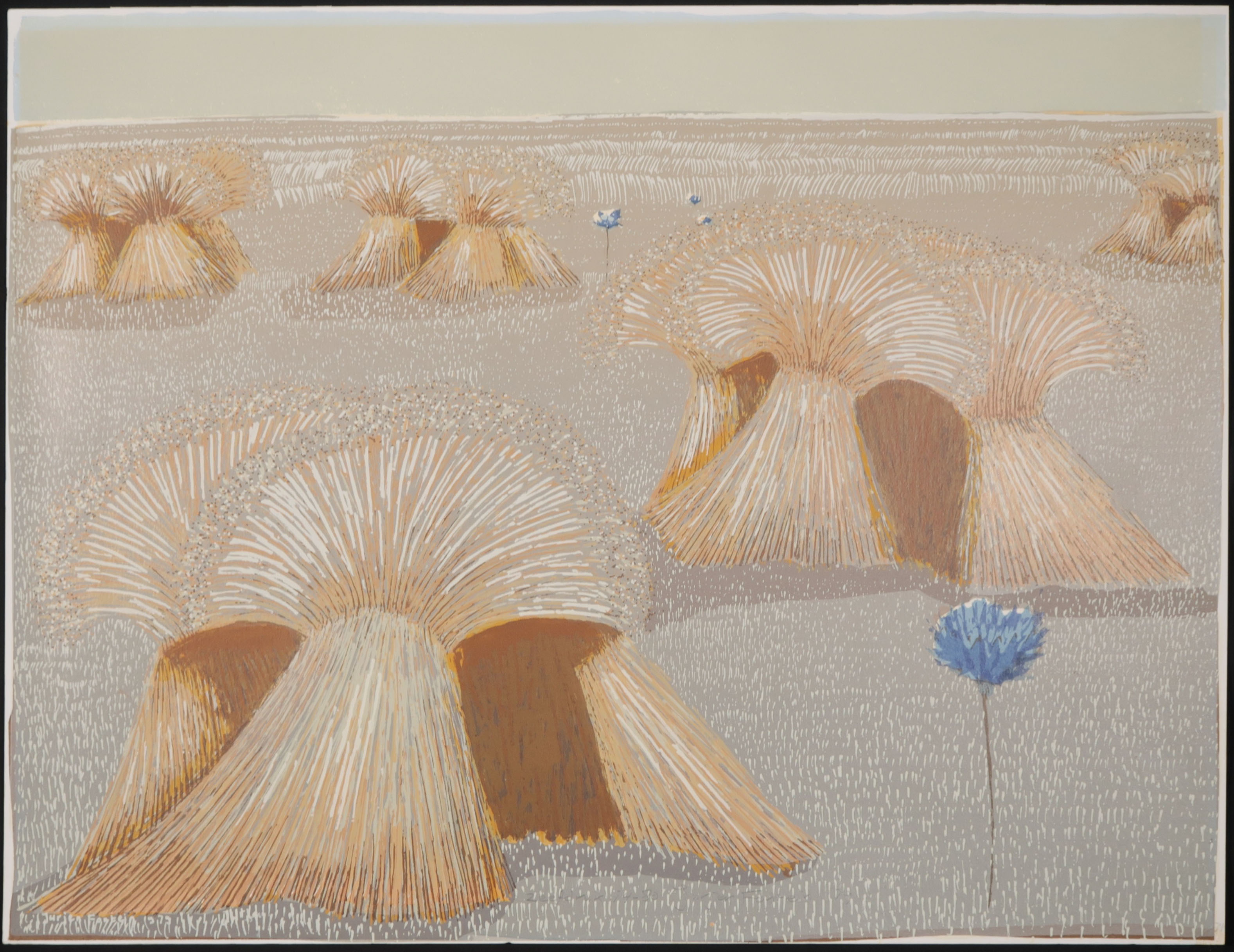 Jurjen Fontein - Zeefdruk, Korenbloemen kopen? Bied vanaf 1!