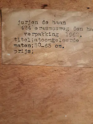 Jurjen de Haan - Atoomprofessor kopen? Bied vanaf 200!