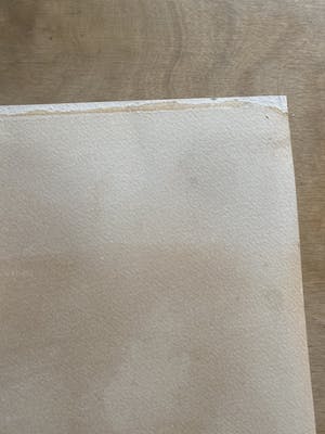 Corneille - Femme, Oiseau et fleur exotique kopen? Bied vanaf 50!