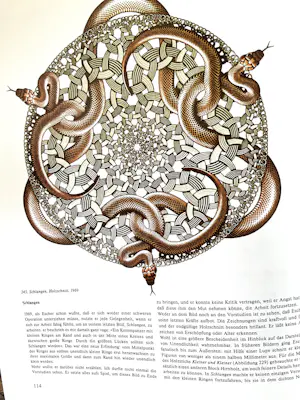 Maurits Cornelis Escher - Der Zauberspiegel des M.C. Escher kopen? Bied vanaf 20!