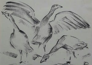 Douwe Jan van der Zweep - Zwanen kopen? Bied vanaf 5!