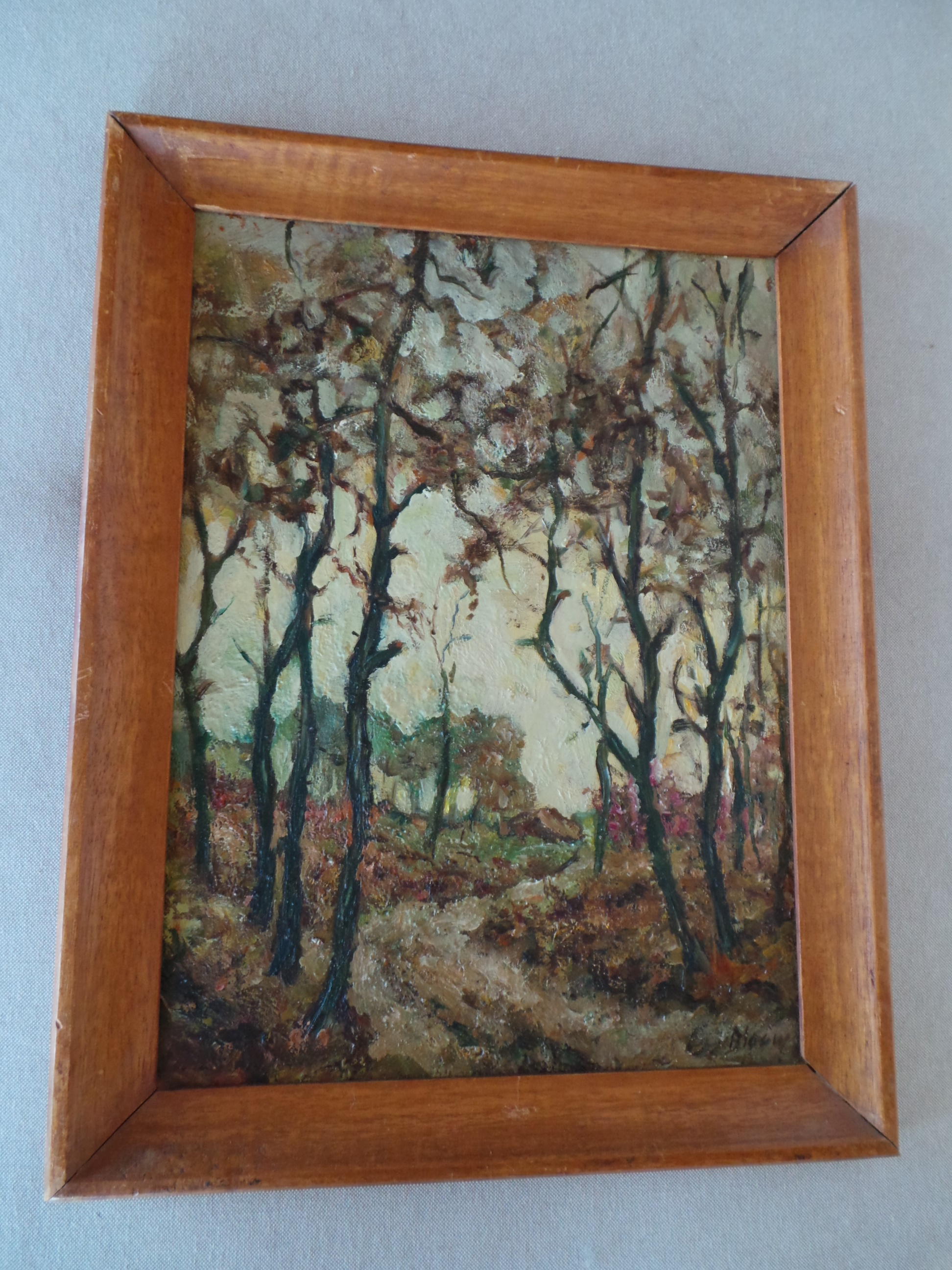 Niet of onleesbaar gesigneerd - Bosgezicht 20 eeuw kopen? Bied vanaf 1!