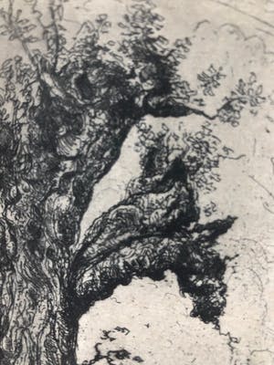 Johan D. Scherft - Knotwilg in hollands landschap kopen? Bied vanaf 20!