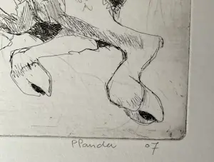 Pieter Pander - Kalfje kopen? Bied vanaf 100!