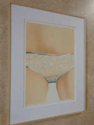 Max Selen - ONDERBROEKJE / KLEURLITHO / 70x53cm / KADER / SIG / 1976 kopen? Bied vanaf 30!