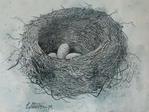 Eugene Peters - (1946) Merelnest kopen? Bied vanaf 1!