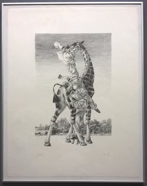 Peter Vos - Gevoelens - gesigneerde litho kopen? Bied vanaf 250!