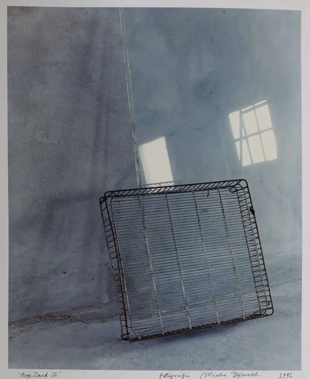 Mieke Bijleveld (1967)