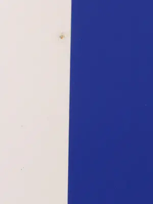 Cyril Lixenberg - Zeefdruk, Geometrische compositie - Ingelijst kopen? Bied vanaf 50!