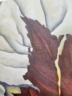 Georgia O’Keeffe - Set van drie prints,Klaproos,Trompetbloem en Bladeren Patroon kopen? Bied vanaf 30!