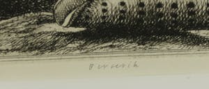 Herman Berserik - Ets, Stilleven met muze - Ingelijst kopen? Bied vanaf 50!