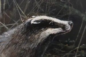 Pieter Verstappen - Das in de natuur kopen? Bied vanaf 400!