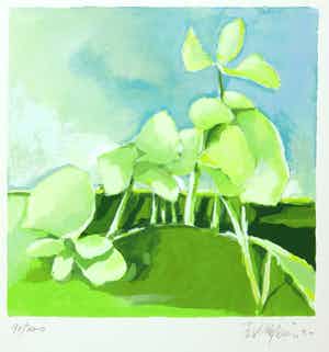 Fon Klement - Zeefdruk, Hommage aan Noord-Holland verkocht voor € 50!