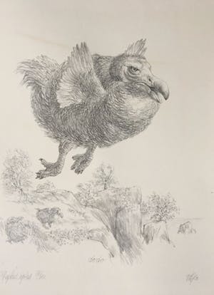 Peter Vos - Dodo; een uitgestorven vogel kopen? Bied vanaf 10!