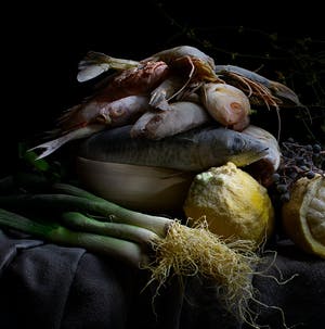 Arnold Mariashin - Fish and Crabs kopen? Bied vanaf 125!