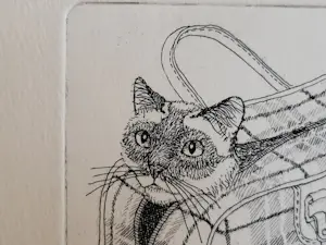 Ella van Schaik - handgesigneerde ets | 'Poes in de tas' kaufen? Bieten Sie von 40!