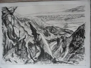 Leo Hofman - Ets, titel, Negev woestijn Israël. kopen? Bied vanaf 15!