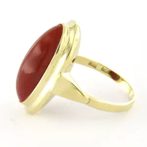 14k geelgouden ring bezet met koraal - 4.5 gram - ringmaat 17.25(54) kopen? Bied vanaf 350!