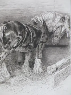 Kuno Brinks - Paard in de stal - Gravure kopen? Bied vanaf 100!
