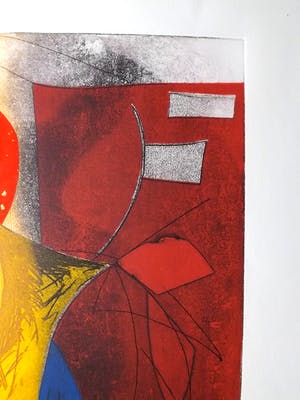 Duck Sung Kang - kleuren ets in heldere kleuren op Arches. kopen? Bied vanaf 1!