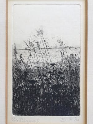 Theo Hoogewerf - z.t. | fraaie ets in houten lijst kopen? Bied vanaf 35!