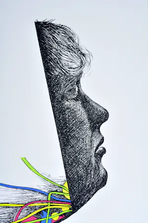 Paul Van Hoeydonck - Zeefdruk - Gesigneerd - 54x42 cm - 1977 kopen? Bied vanaf 90!