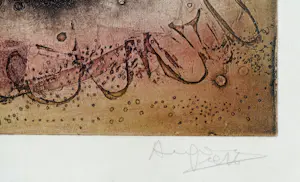 An Goris - de vier seizoenen kopen? Bied vanaf 200!