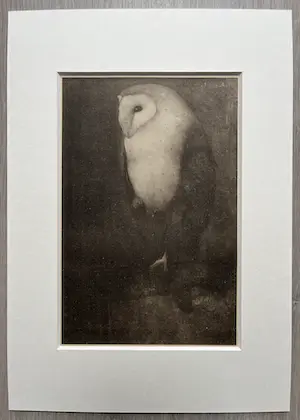 Jan Mankes - Originele Heliogravure Uil op Boomtak 1927 kopen? Bied vanaf 165!