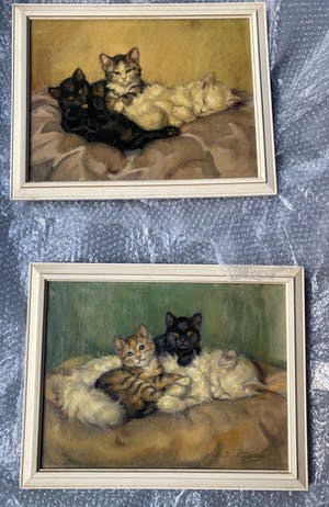 De Ruys-Tydeman - Poezen kopen? Bied vanaf 450!