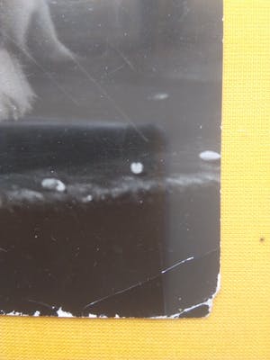 Aart Klein - & Henk Jonker - Konijn. kopen? Bied vanaf 20!