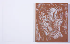 Philip Akkerman - Uitgave van zeefdrukken, De onzichtbare man / The Invisible Man kopen? Bied vanaf 500!