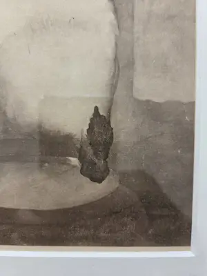 Jan Mankes - Zilverwynandotte. Haan. Ingelijst. kopen? Bied vanaf 129!