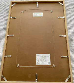 Ton Schulten - Voorjaarsbomen kopen? Bied vanaf 250!