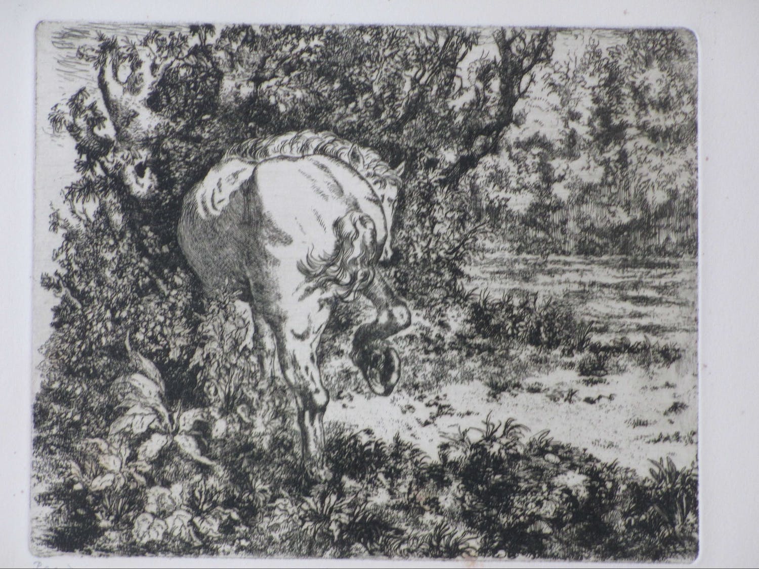 Ko Prange (1904-1972)