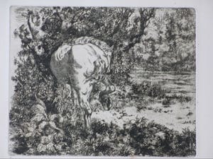 Ko Prange - Paard - Ets kopen? Bied vanaf 45!