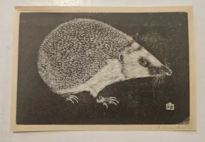 Jan Mankes - de egel kaufen? Bieten Sie von 40!