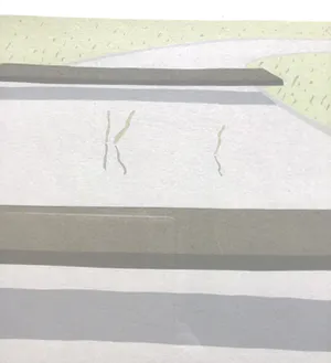 Doris Groeneveld - West-Fries Landschap, gesigneerd en ingelijst kopen? Bied vanaf 35!