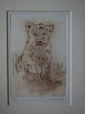 An Biesiot - Welp van de Leeuw kopen? Bied vanaf 15!