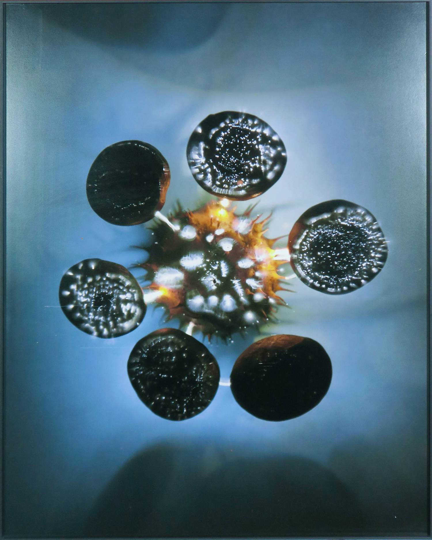 Paul den Hollander - Digitale print, Luminous Garden #27 kopen? Bied vanaf 50!