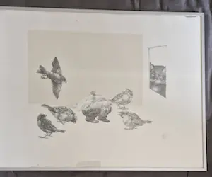 Peter Vos - Vreemde vogels met kat op de loer kopen? Bied vanaf 60!